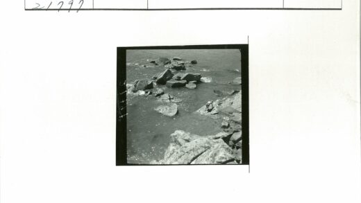 岩石海岸探险.jpg