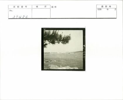 岩石海岸线与松树船只远景.jpg