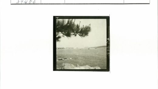 岩石海岸线与松树船只远景.jpg