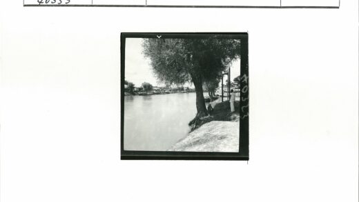 岸边大树下两人与小船河景.jpg