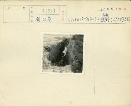 峡谷岩壁与明亮出口.jpg