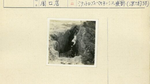 峡谷岩壁与明亮出口.jpg