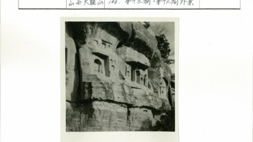 峭壁石刻与灌木景观.jpg