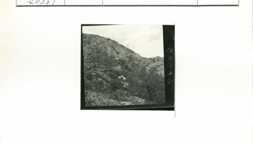 崎岖山坡灌木间的小屋.jpg