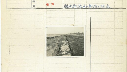 崎岖海岸小路远眺建筑沙滩.jpg
