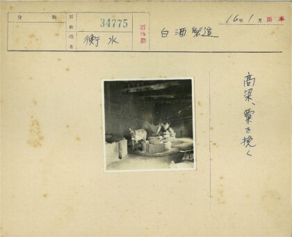 工业建筑中的两头驴.jpg