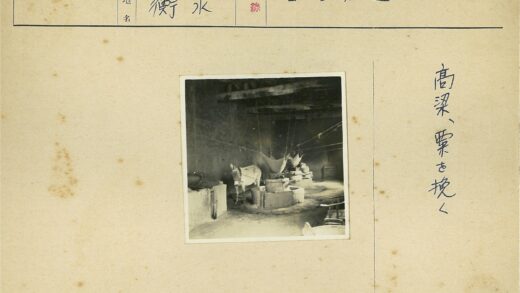 工业建筑中的两头驴.jpg