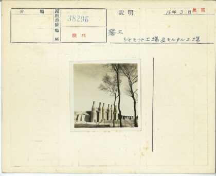 工业建筑砖墙与枯树景观.jpg