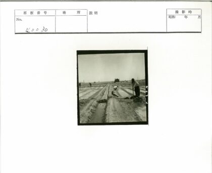 工人农田疏导作业实景.jpg