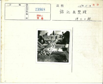 工人分类排列木制矩形块.jpg