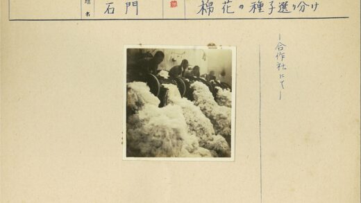 工人加工棉花室内工作场景.jpg
