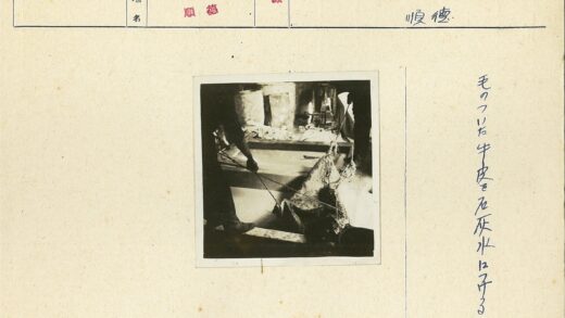 工人处理大型尸体现场.jpg