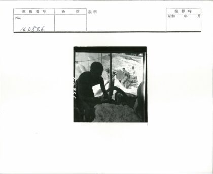工人户外加工棉花工作场景.jpg