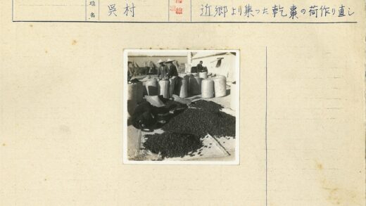 工人户外晾晒葡萄工作场景.jpg