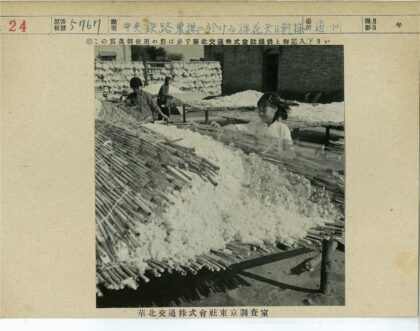 工人户外木架加工棉花.jpg