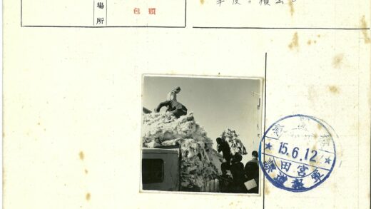 工人户外装运羊毛卡车.jpg