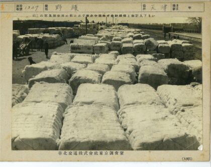 工人搬运材料马车运输场景.jpg