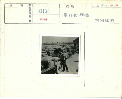 工人搬运麻袋手推车室外储藏.jpg