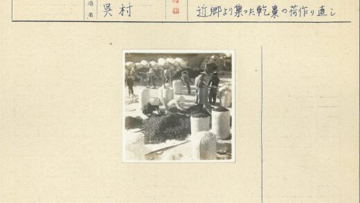 工人整理干浆果石墙驴背景.jpg