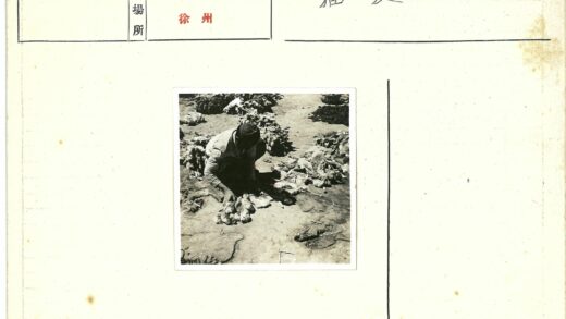 工人整理羊毛纤维照片.jpg