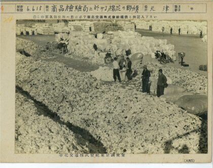 工人检查棉花包工作场景.jpg