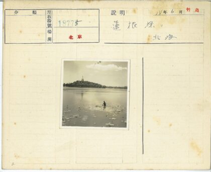工人湖中采莲远眺建筑岛.jpg