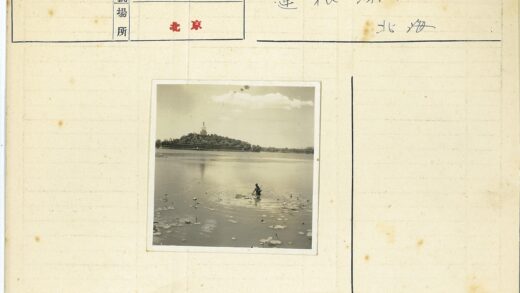 工人湖中采莲远眺建筑岛.jpg