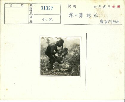 工人湿地采集植物样本.jpg