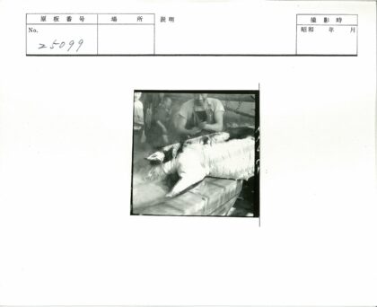 工人照料室内大型动物工作照.jpg