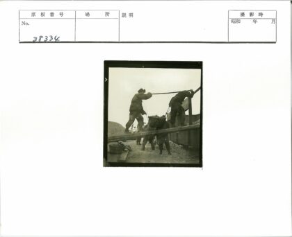 工人用绳索篮子运输工业材料.jpg