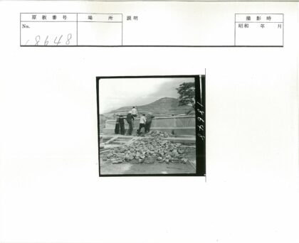 工人砌墙丘陵景观树旁.jpg