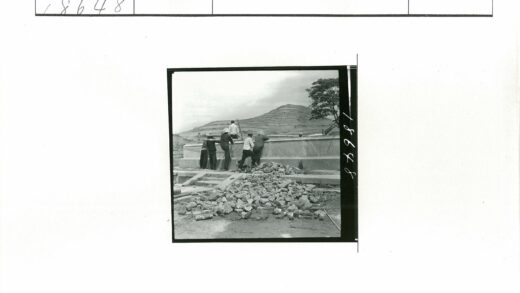 工人砌墙丘陵景观树旁.jpg