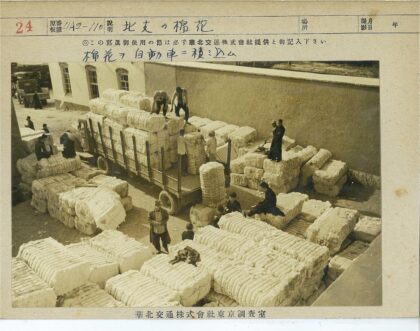 工人装卸棉花卡车实景.jpg