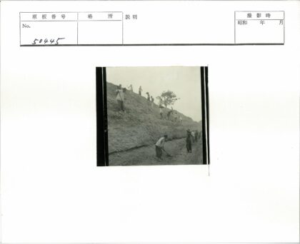 工人陡坡劳作树下.jpg