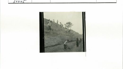 工人陡坡劳作树下.jpg
