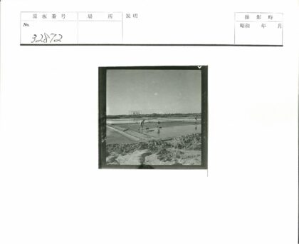 工作人员浅水区池塘维护工作照.jpg