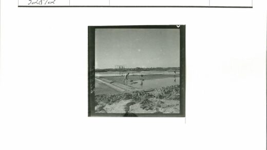 工作人员浅水区池塘维护工作照.jpg