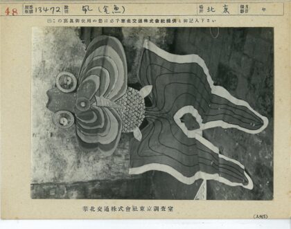 巨型鱼形风筝展示黑白照.jpg