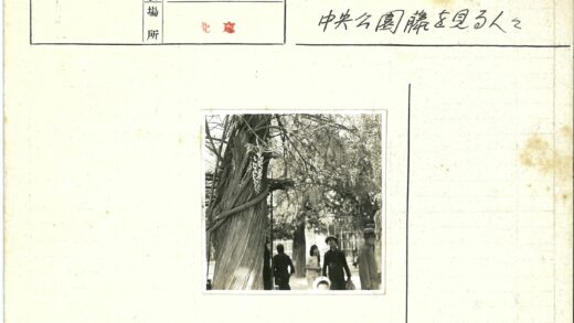 巨大树干下的人群漫步.jpg