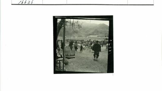 市场树梢鸟笼山景.jpg