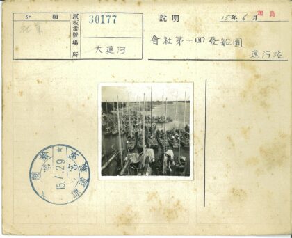 帆船密集的绿荫河港风光.jpg