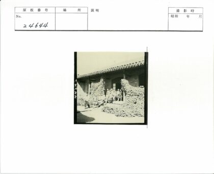 常春藤台阶上的孩子.jpg