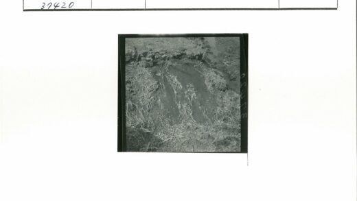 干旱地貌景观与岩石植被.jpg