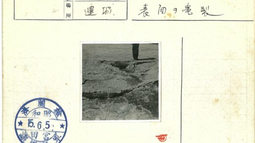 干旱大地上的孤独行者.jpg