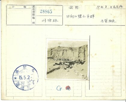 干旱山区山羊群与悬崖景观.jpg