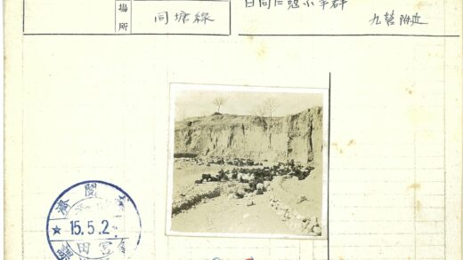 干旱山区山羊群与悬崖景观.jpg