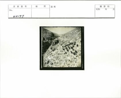 干旱山区山羊群穿越岩石坡.jpg