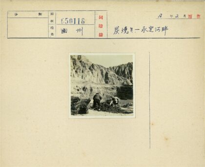 干旱山区拾柴人.jpg