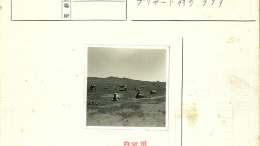 干旱平原上的骆驼群.jpg