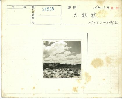 干旱牧场牛群吃草远山.jpg
